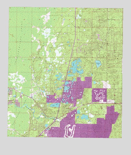 Weeki Wachee Spring, FL USGS Topographic Map