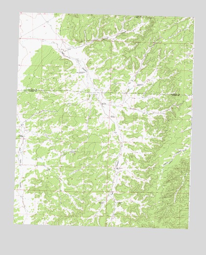 Bonine Canyon, NM USGS Topographic Map