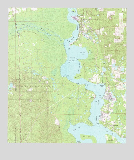 Welaka, FL USGS Topographic Map