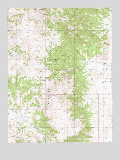 Well Canyon, NV USGS Topographic Map