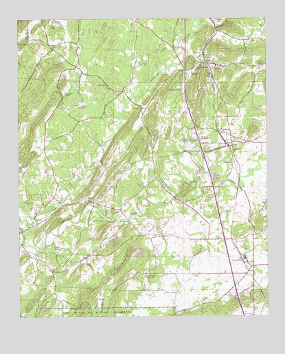 Wellington, AL USGS Topographic Map