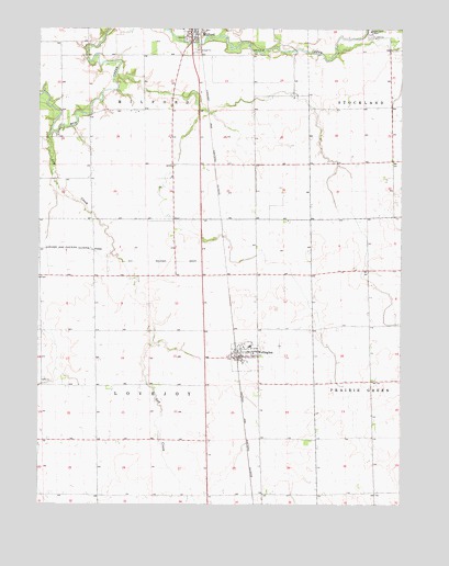 Wellington, IL USGS Topographic Map