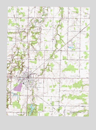 Wellington, OH USGS Topographic Map
