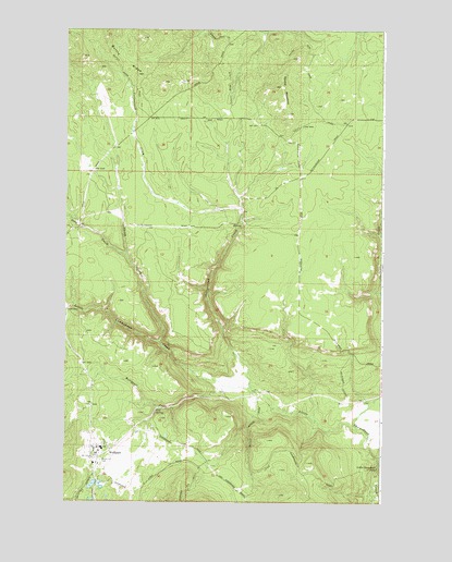 Wellpinit, WA USGS Topographic Map