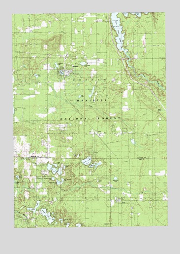 Wellston, MI USGS Topographic Map