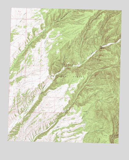 Welty Hill, NM USGS Topographic Map