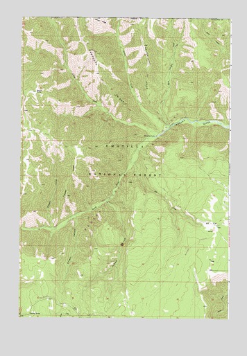 Wenaha Forks, OR USGS Topographic Map