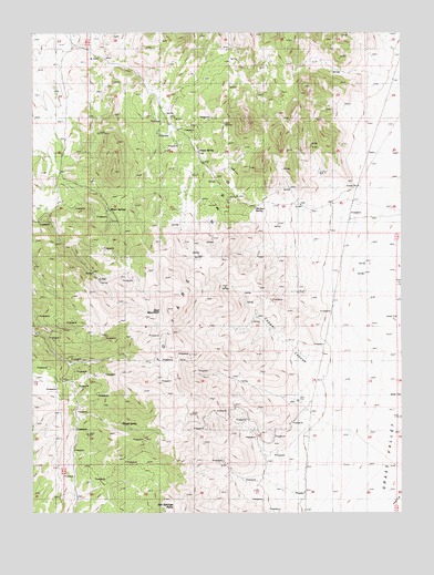 Wenban Spring, NV USGS Topographic Map