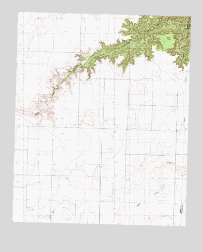 Wesley Point, TX USGS Topographic Map