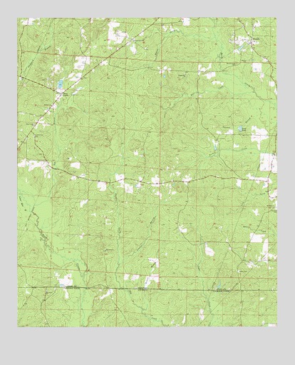 Wesson, AR USGS Topographic Map