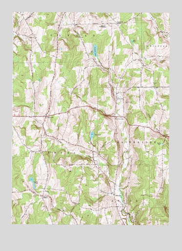West Bainbridge, NY USGS Topographic Map