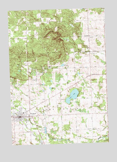 West Branch, MI USGS Topographic Map