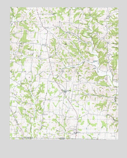 Bonnertown, TN USGS Topographic Map