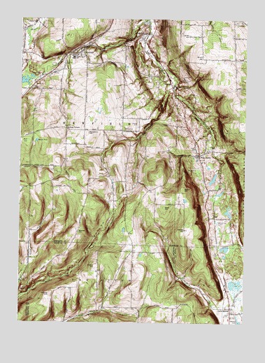 West Danby, NY USGS Topographic Map