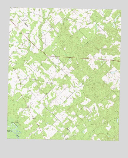 West of Eastman, GA USGS Topographic Map