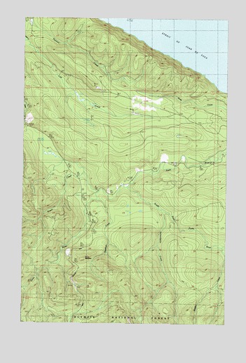 West of Pysht, WA USGS Topographic Map