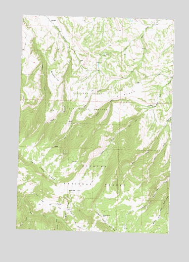 West Pass, WY USGS Topographic Map