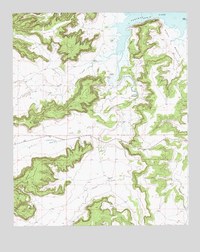 Bookout Ranch, NM USGS Topographic Map