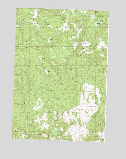 Wheeler Point, OR USGS Topographic Map