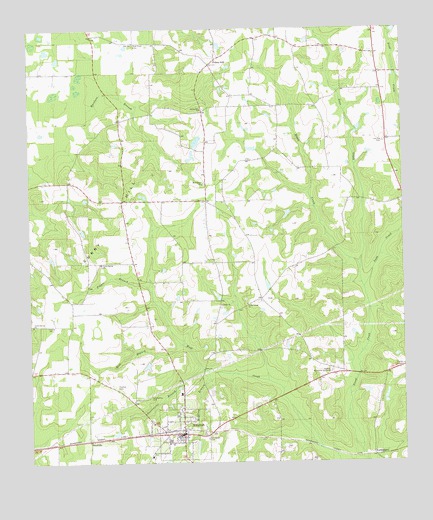 Whigham, GA USGS Topographic Map