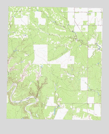 White Camp, TX USGS Topographic Map