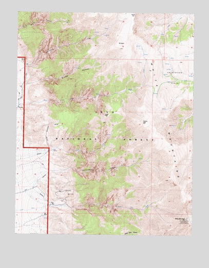 White Mountain Peak, CA USGS Topographic Map