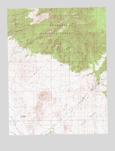White Pine Peak, NV USGS Topographic Map