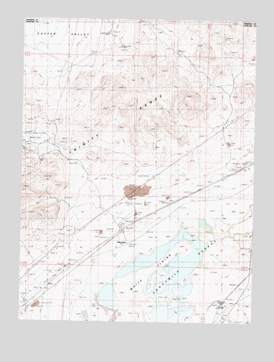 White Plains, NV USGS Topographic Map