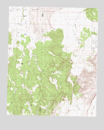 White Ridge, NM USGS Topographic Map
