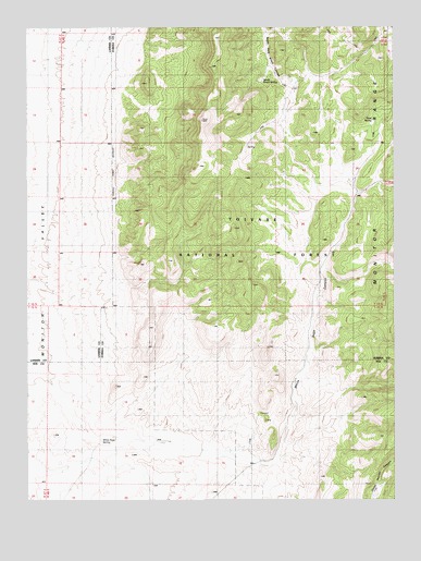 White Sage Canyon, NV USGS Topographic Map