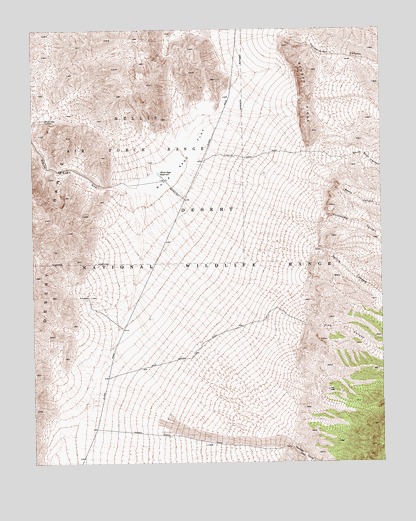 White Sage Flat, NV USGS Topographic Map