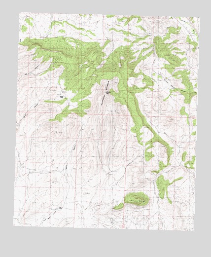 Whitehorse Mountain, NM USGS Topographic Map