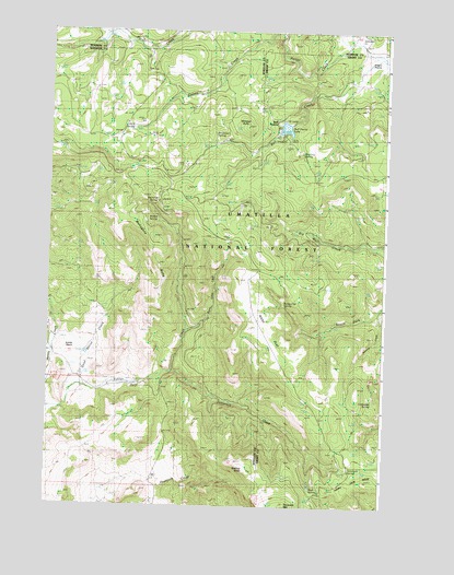 Whitetail Butte, OR USGS Topographic Map