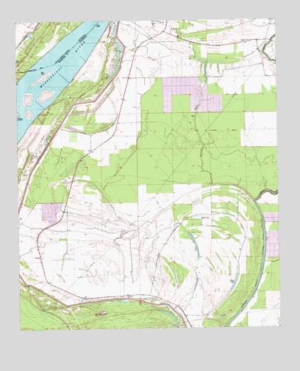 Whiting Bayou, MS USGS Topographic Map