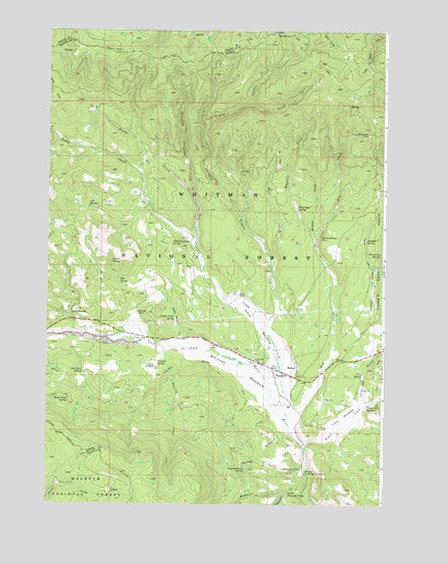 Whitney, OR USGS Topographic Map