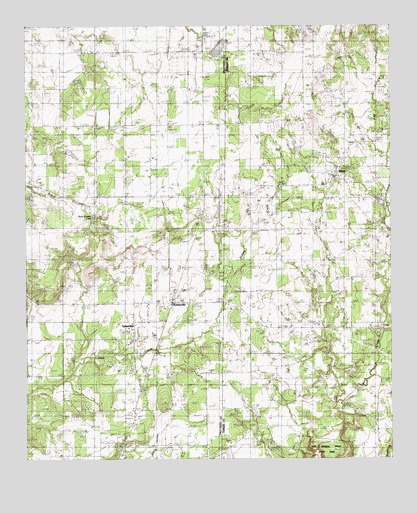 Whitt, TX USGS Topographic Map