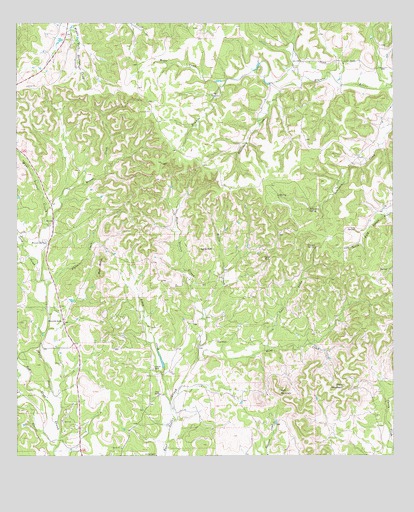 Whitworth Ranch, TX USGS Topographic Map