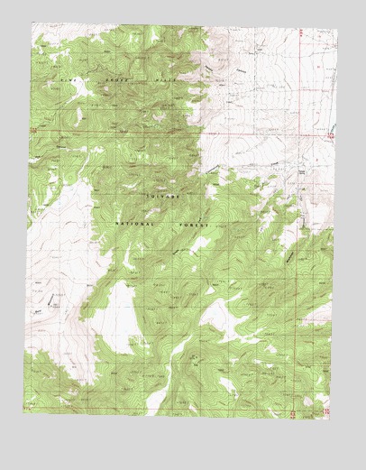 Wichman Canyon, NV USGS Topographic Map