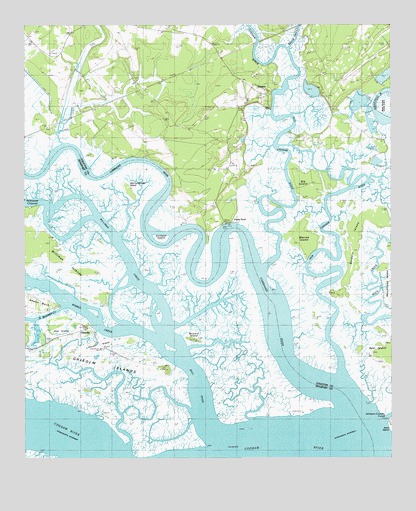 Wiggins, SC USGS Topographic Map