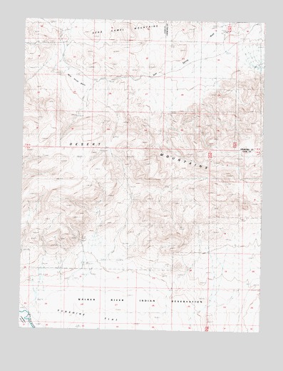 Wild Horse Basin, NV USGS Topographic Map