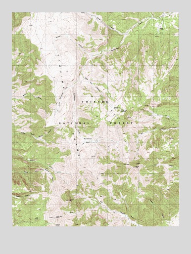 Wildcat Peak, NV USGS Topographic Map