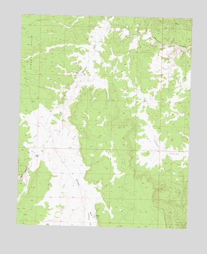 Wildcat Ranch, AZ USGS Topographic Map