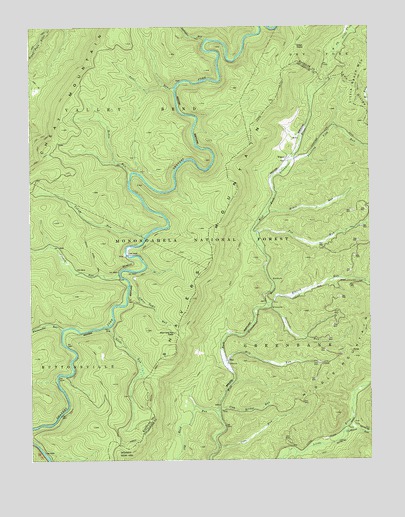 Wildell, WV USGS Topographic Map