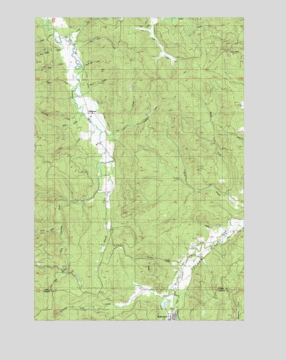 Wildwood, WA USGS Topographic Map