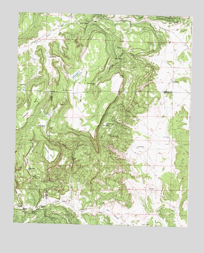 Wiley Mesa, NM USGS Topographic Map