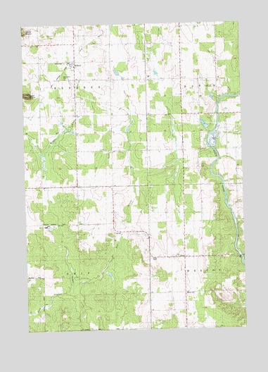Willard, WI USGS Topographic Map