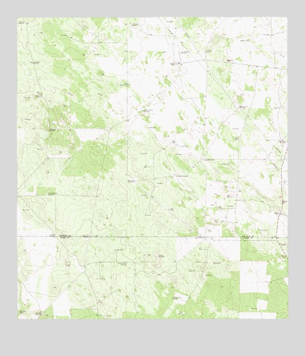 Borregos Ranch, TX USGS Topographic Map