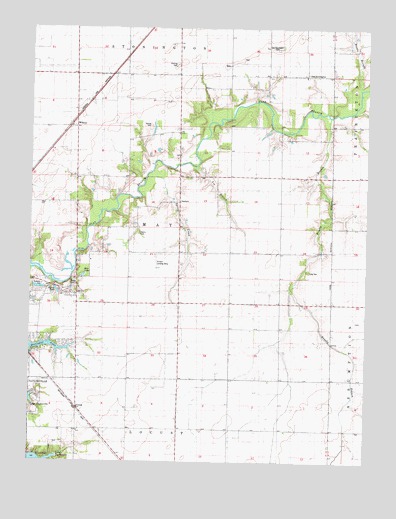 Willeys, IL USGS Topographic Map