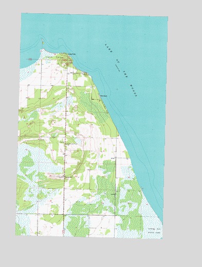 Williams NW, MN USGS Topographic Map