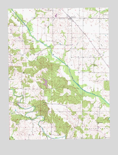 Williamstown, MO USGS Topographic Map